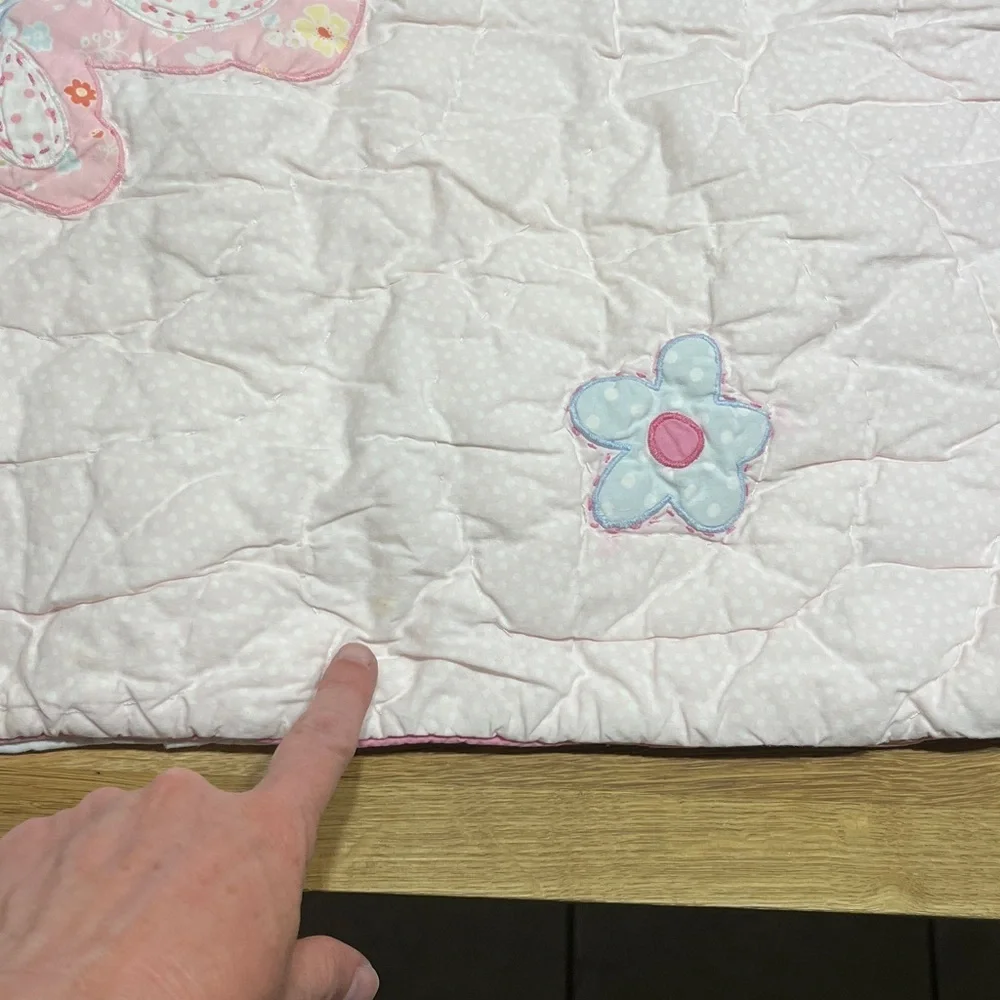 Pottery Barn Kids Pale Pink Floral Butterfly & Flower Quilted Pillow Sham